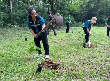กิจกรรมวันต้นไม้ประจำปีของชาติ พ.ศ. 2568 พารามิเตอร์รูปภาพ 2